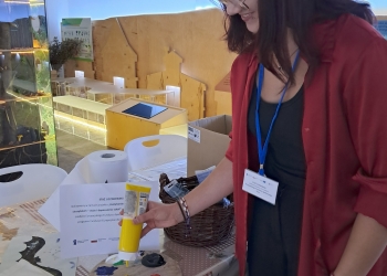 Powiększ zdjęcie: Gabriela