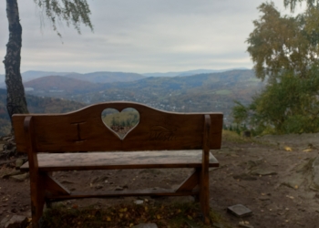 Powiększ zdjęcie: 1000010285